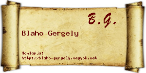 Blaho Gergely névjegykártya